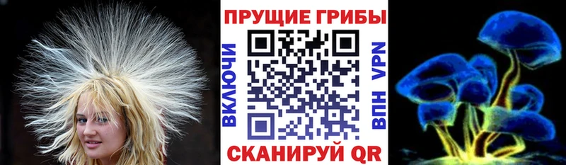 Псилоцибиновые грибы прущие грибы  магазин    Саранск 
