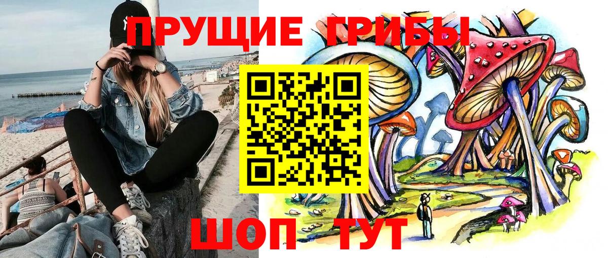купить наркоту  Вход с VPN  Саранск  Псилоцибиновые грибы Psilocybe 